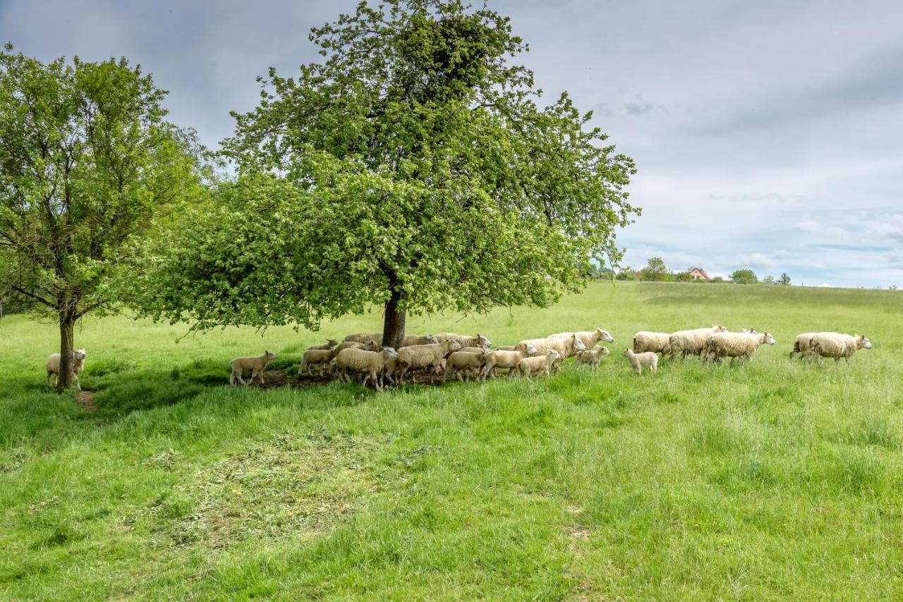 Agroturistika - "Domecek U Ovecek" Vila Horní Těrlicko Exterior foto