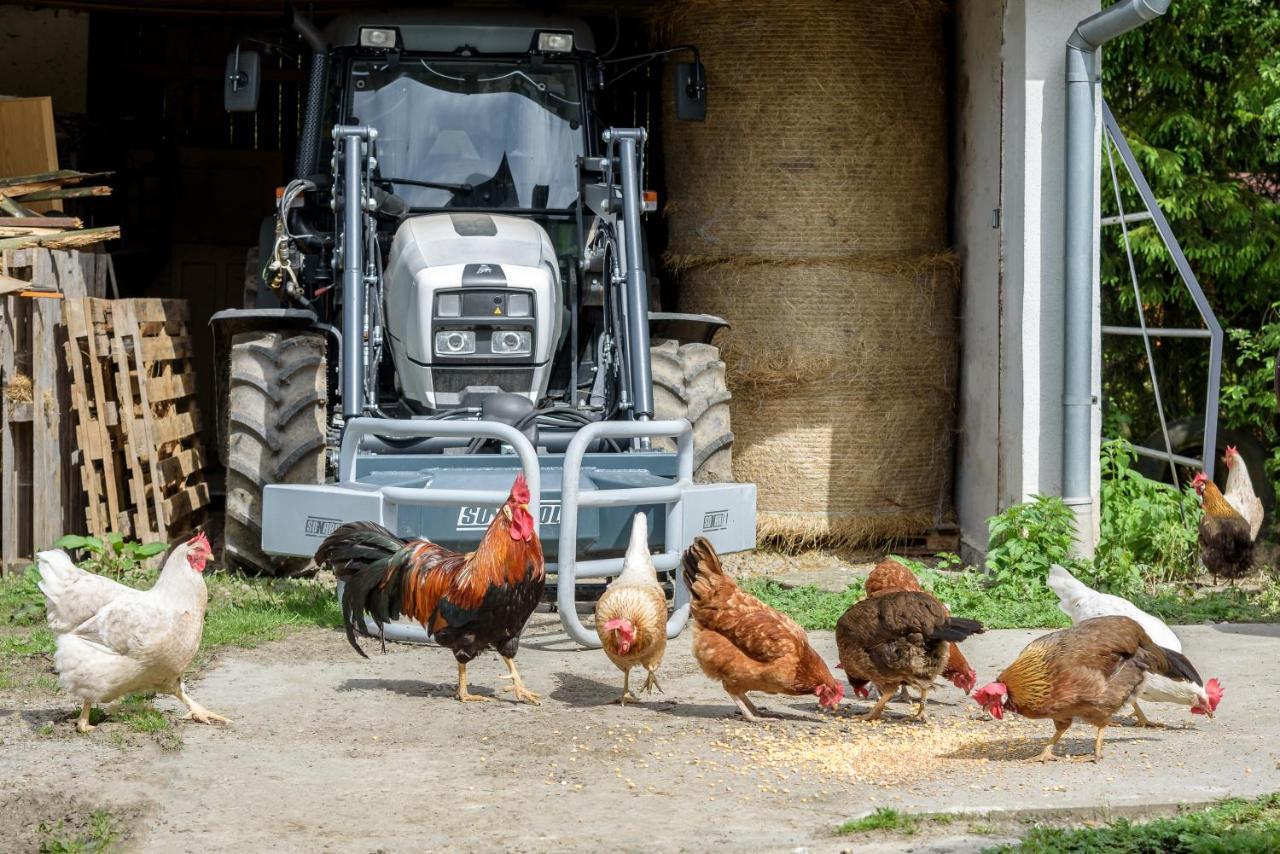 Agroturistika - "Domecek U Ovecek" Vila Horní Těrlicko Exterior foto