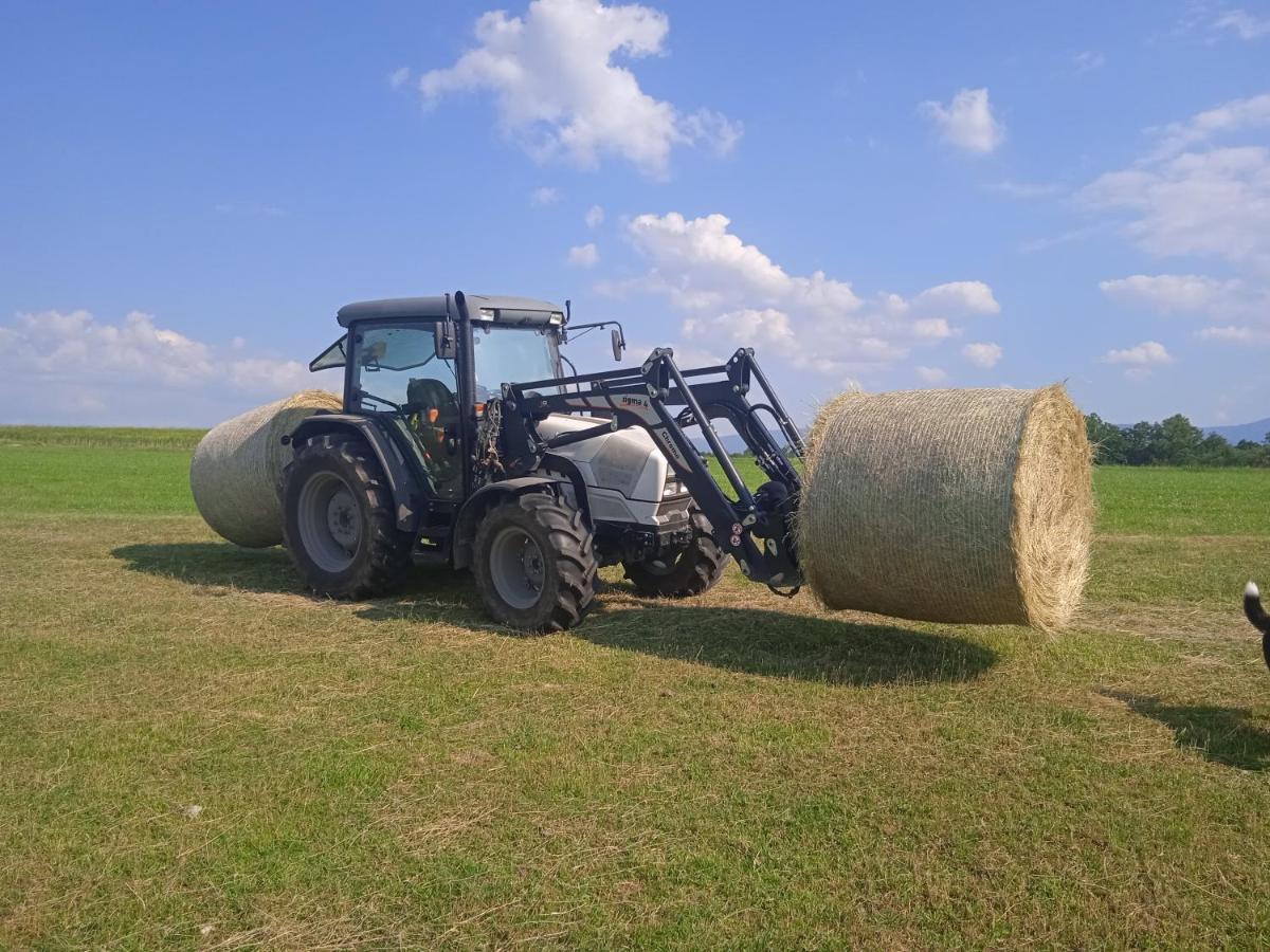 Agroturistika - "Domecek U Ovecek" Vila Horní Těrlicko Exterior foto